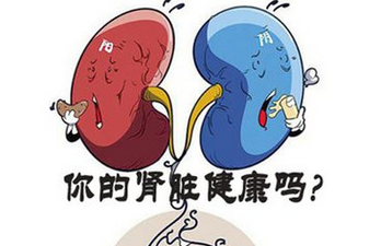 男性补肾吃什么好 补肾壮阳的中药有哪些