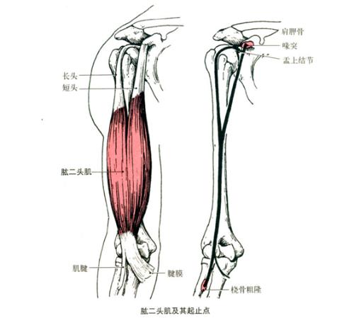 20120330114652-665872212